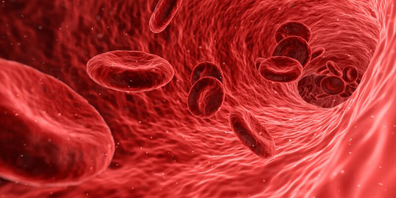 أهم 3 معلومات عن كيفية  قراءة تحليل الدم