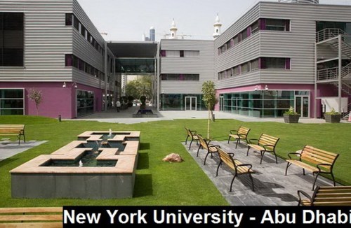جامعة نيويورك أبوظبي تطلق 10 منح بحثية لدعم مواجهة "كوفيد-19" محلياً وعالمياً
