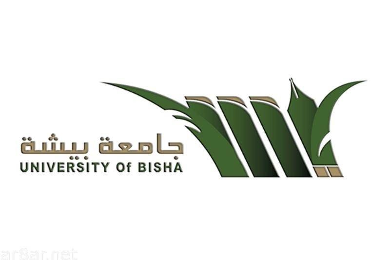 جامعة بيشة توفر وظائف أكاديمية للرجال والنساء للعمل بمقرها الرئيسي وأفرعها