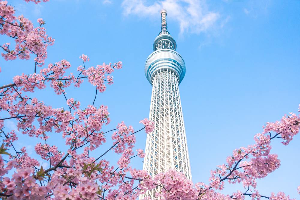 أماكن سياحية رائعة عليك زيارتها في طوكيو
