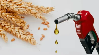 تعد روسيا وأوكرانيا من أهم الدول المصدرة للسلع الغذائية الرئيسية ولا سيما القمح وزيت الطعام والذرة. فقد بلغ نصيب الدولتين من صادرات القمح العالمية نحو 30%، كما يزيد إنتاجهما من زيت عباد الشمس على 77% من الإنتاج العالمي. ومع استمرار الحرب واضطراب الإمدادات، تواصلت الأسعار في الارتفاع، حيث ارتفع سعر طن القمح بنحو 60%، كما زادت أسعار المواد الغذائية الأخرى بنسب تتراوح بين 20% و50%.