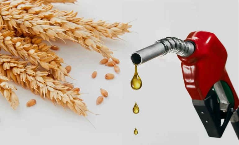 تعد روسيا وأوكرانيا من أهم الدول المصدرة للسلع الغذائية الرئيسية ولا سيما القمح وزيت الطعام والذرة. فقد بلغ نصيب الدولتين من صادرات القمح العالمية نحو 30%، كما يزيد إنتاجهما من زيت عباد الشمس على 77% من الإنتاج العالمي. ومع استمرار الحرب واضطراب الإمدادات، تواصلت الأسعار في الارتفاع، حيث ارتفع سعر طن القمح بنحو 60%، كما زادت أسعار المواد الغذائية الأخرى بنسب تتراوح بين 20% و50%.