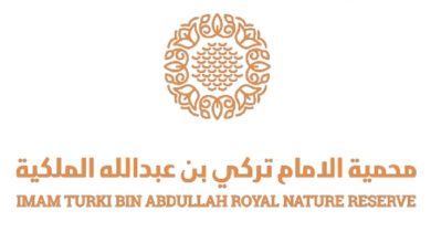 هيئة تطوير محمية الامام تركي بن عبدالله الملكية توفر وظائف إدارية لحملة الدبلوم فأعلى