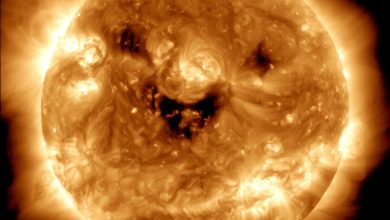 ظاهرة "الشمس المبتسمة" وتكشف عن عواصف شمسية مرتقبة