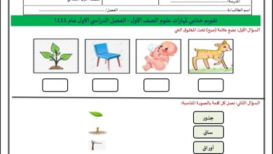 اختبار النهائي في مادة العلوم للصف الأول الأبتدائي الفصل الدراسي الأول 1444 المنهاج السعودي
