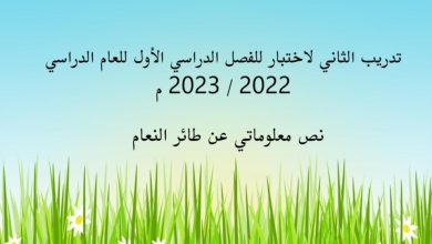 تدريب الثاني نص معلوماتي عن طائر النعام اللغة العربية الصف الثالث للفصل الاول للعام 2022-2023 منهاج الإمارات