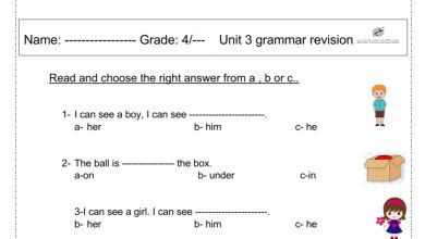 مراجعة Unit 3 grammar revision اللغة الإنجليزية الصف الرابع الفصل الأول للعام 2022-2023 منهاج الامارات