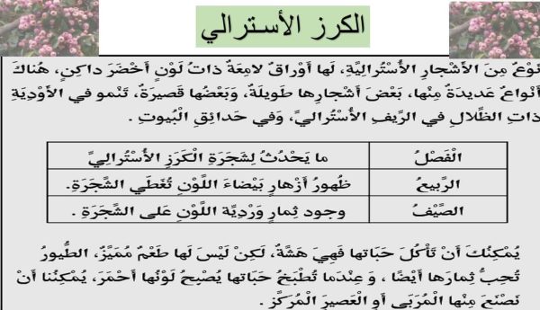 اختيار قصير الكرز الأسترالي اللغة العربية الصف الخامس - بوربوينت من الفصل الدراسي الأول 2022 المنهاج الإماراتي