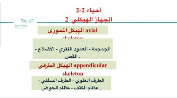 الجهاز الهيكلي احياء 2 – 2 للصف الثاني الثانوي فصل الثاني للعام 1444هـ المنهاج السعودي