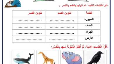ورقة عمل تنوين الكسر عربي ثالث ابتدائي الفصل الاول للعام 2022-2023 منهاج الكويت