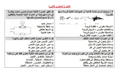 نموذج 2 أختبار معياري من الصف الأول الى السادس الأبتدائي الفصل الدراسي الثاني للعام 1444هـ منهاج سعودي