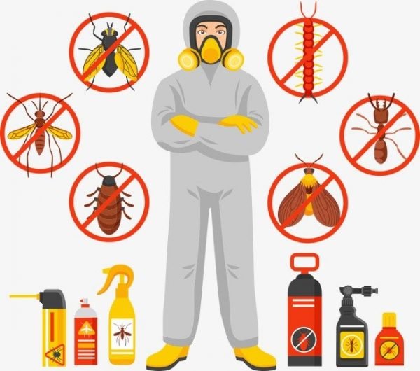 كيف يمكن مكافحة الحشرات، والآفات دون استخدام المواد الكيميائية
