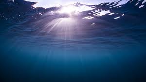 كلما زاد العمق في المحيط قل الضوء النافذ