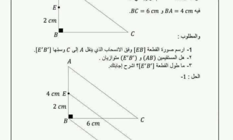 أوراق عمل رياضيات مع الحل الصف الثامن الفصل الأول للعام 2023 منهاج السوري