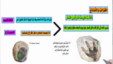 ما هو شكل التجويف الفارغ في الصخر؟