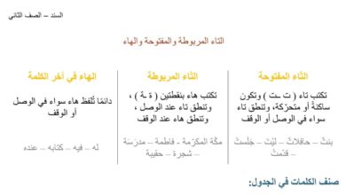 أوراق عمل التاء المفتوحة والمربوطة والهاء اللغة العربية الصف الثاني الفصل الثاني للعام 2023 منهاج الإمارات