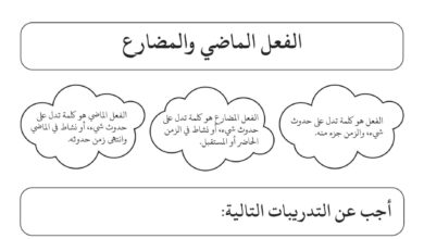ورقة عمل الفعل الماضي والمضارع اللغة العربية الصف الثاني الفصل الثاني للعام 2023 منهاج الإمارات