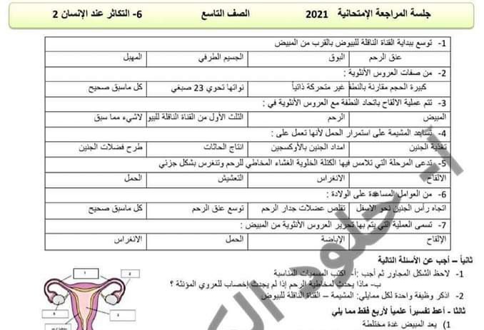 نموذج امتحان علوم البحث 6-7 الصف التاسع الفصل الثاني للعام 2023 منهاج السوري