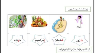 تقييم وحدة مدينتي لغتي الصف الأول الفصل الثاني للعام 2023 منهاج السعودي