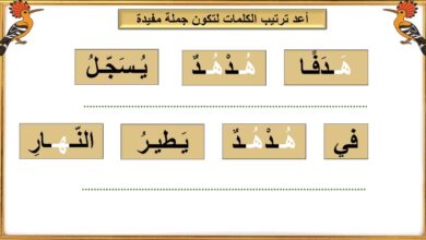 أوراق عمل حرف الهاء عربي الصف الأول - بوربوينت الفصل الثاني للعام 1444هـ منهاج الإمارات