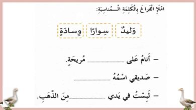أوراق عمل حرف الواو عربي الصف الأول - بوربوينت الفصل الثاني للعام 1444هـ منهاج الإمارات