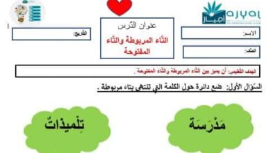 أوراق عمل التاء المربوطة والتاء المفتوحة عربي الصف الثاني الفصل الثاني للعام 2023 منهاج الإمارات