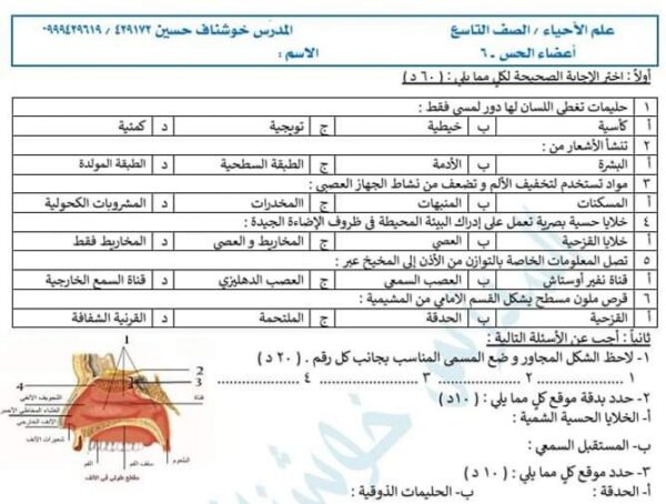 نموذج اختبار 6 علوم محلول تاسع الفصل الثاني للعام 2023 منهاج السوري