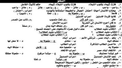 اهم ملخص في النحو والقراءة للثانوية العامة 2023 المناهج المصرية