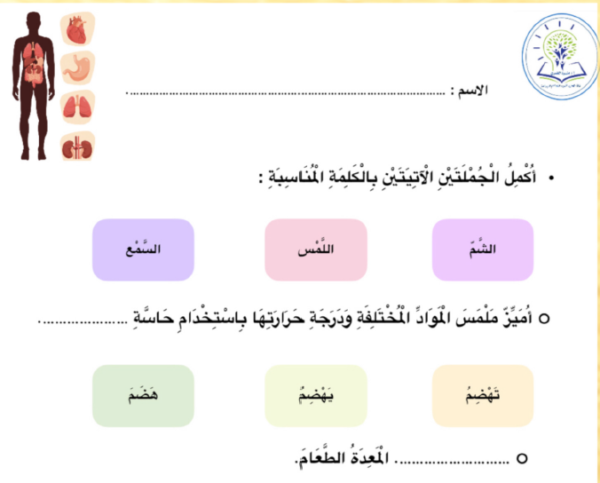 أوراق عمل درس أعضاء جسمي مادة لغتي للصف الأول ابتدائي الفصل الثالث