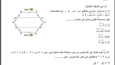 تحميل نموذج الوزارة امتحان الاستاتيكا PDF للصف الثالث الثانوي 2023 المناهج المصرية
