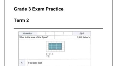 أوراق عمل Exam Practice الرياضيات الصف الثالث للفصل الثاني للعام 1444هـ منهاج الإمارات