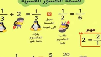 تلخيص الرياضيات الوحدة التاسعة خامسة ابتدائي ترم ثاني 2023 المناهج المصرية