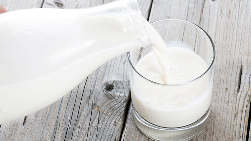ما هو اللاكتوز في الحليب