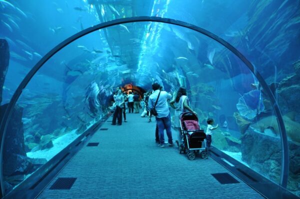 اماكن سياحية في دبي للعائلات