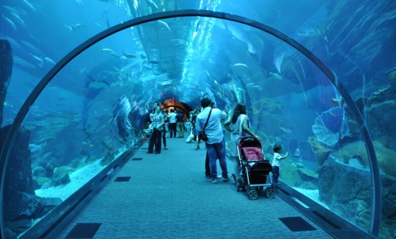 اماكن سياحية في دبي للعائلات