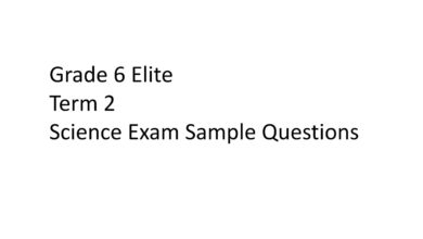 أوراق عمل Exam sample Question العلوم الصف السادس الفصل الثاني للعام 2023 منهاج الامارات