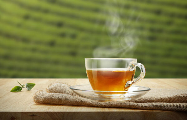 فوائد شاي الغوري للتنحيف السريع