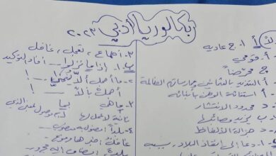 حل اسئلة امتحان مادة اللغة العربية بكلوريا الفرع الأدبي الدورة الأولى لعام 2023 منهاج سورية