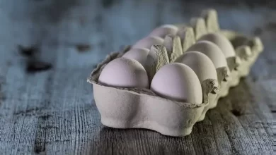 المغذيات الأساسية في البيض