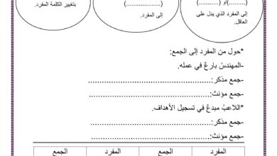 أنواعُ الجموعِ في اللغةِ العربيّةِ