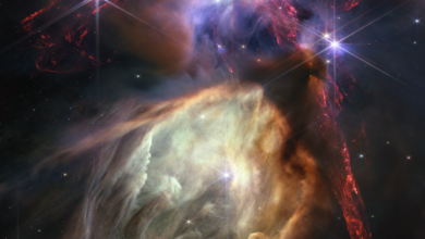 تلسكوب جيمس ويب يلتقط صورة مذهلة لولادة نجوم تشبه الشمس