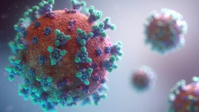 العلماء يكتشفون سرا عن سلالات فيروس كورونا.. ماذا وجدوا؟