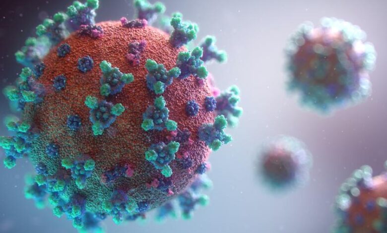 العلماء يكتشفون سرا عن سلالات فيروس كورونا.. ماذا وجدوا؟