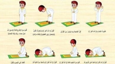 كيفية الصلاة الصحيحة