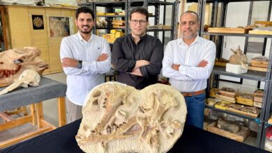 مصر تعلن اكتشاف أحد أقدم الحيتان في إفريقيا