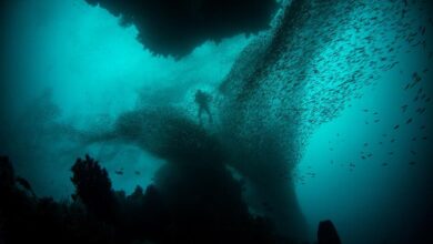 اكتشاف أضخم حفرة في العالم بقاع المحيط