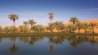 بيئة أبوظبي تتلقى أكثر من 150 طلبا للمشاركة في جائزة الشيخ حمدان بن زايد البيئية