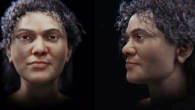 الكشف عن وجه أقدم امرأة عاشت قبل 45 ألف عام