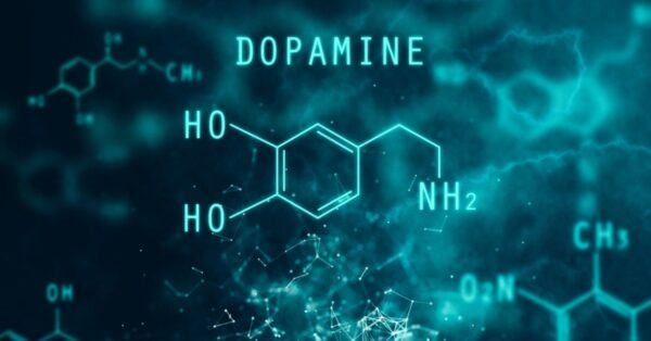 ما هو هرمون الدوبامين وما هو دورة في التركيز و التحفيز 