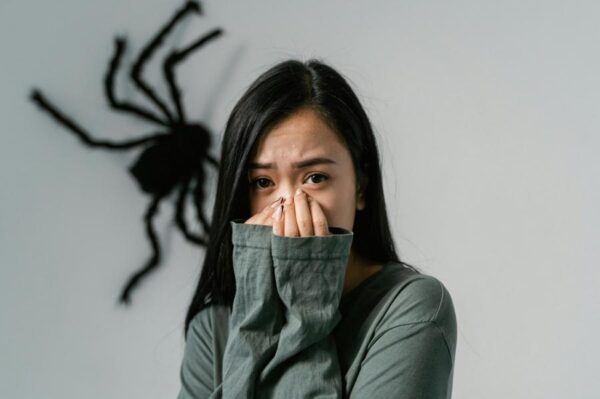علاج قرصة العنكبوت.. الأعراض والإسعافات الأولية